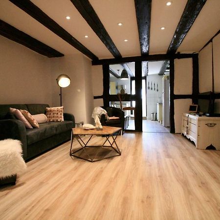 Gite Grand'Rue "Climatise" コルマール エクステリア 写真